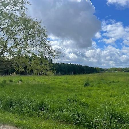 Gite Le Village Des Champs Soings-en-Sologne Exterior foto