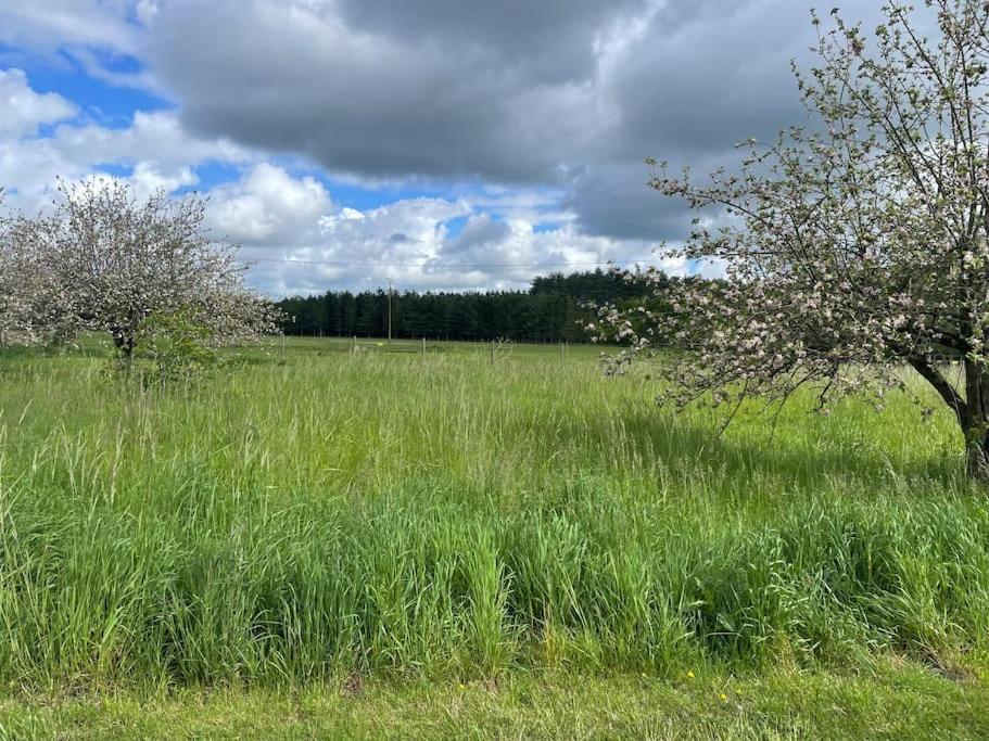 Gite Le Village Des Champs Soings-en-Sologne Exterior foto